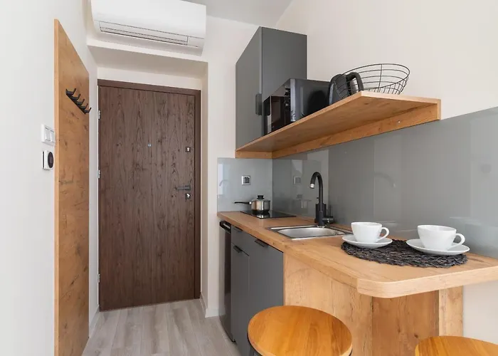 Modern Cracow Rakowicka 14 By Renters * 克拉科夫