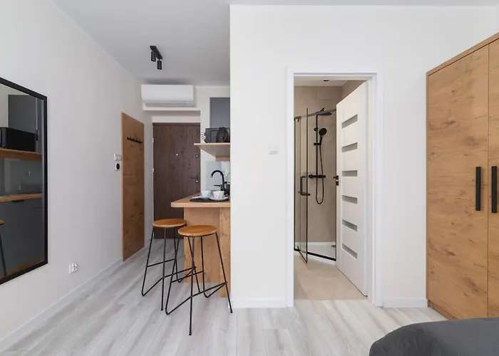 Modern Cracow Rakowicka 14 By Renters 公寓 克拉科夫